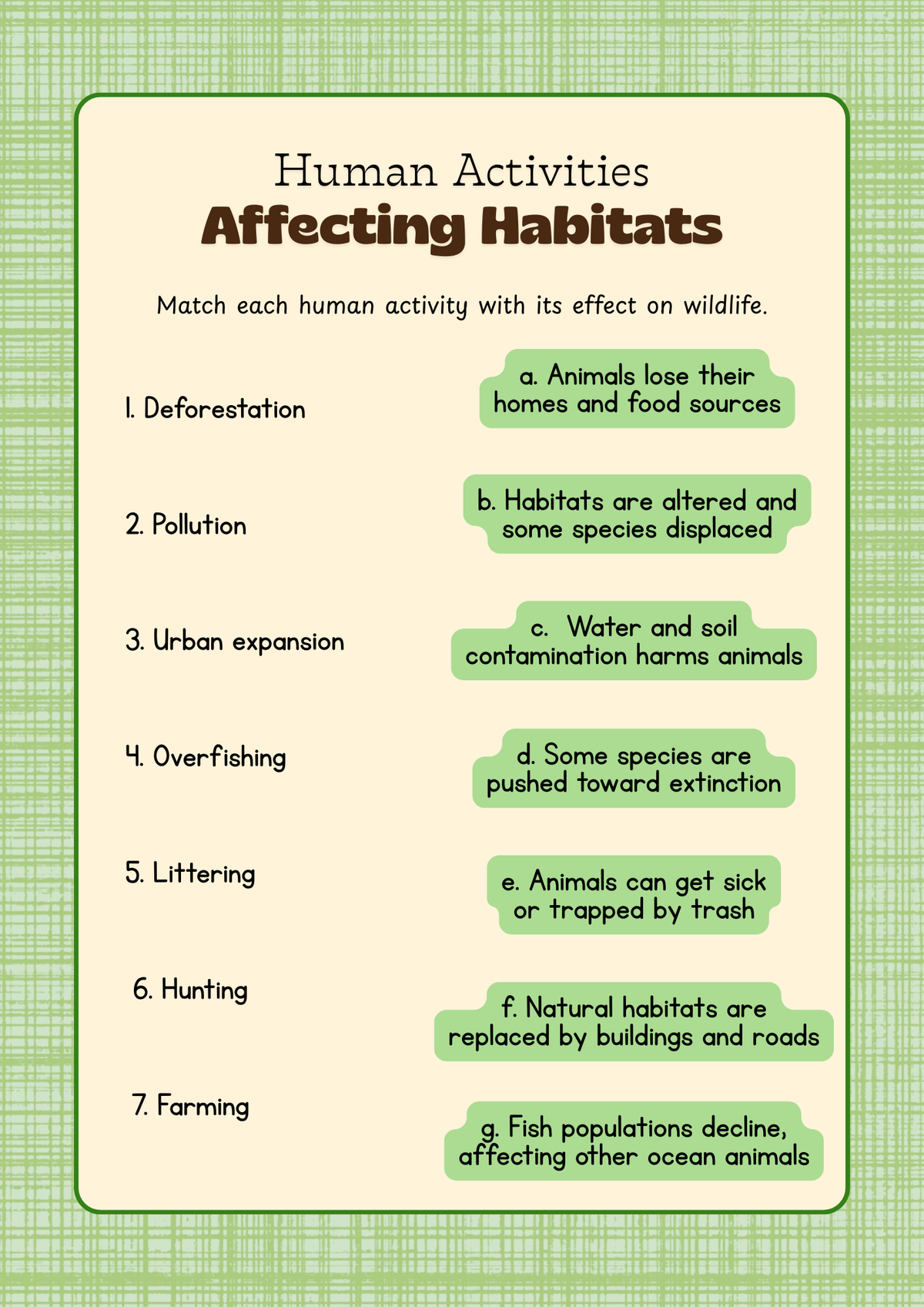 Junior Conservationist Activity Workbook (Ages 9-12) | Ecosystems, Wildlife Heroes & Zoo Exhibit Design Learning Pack