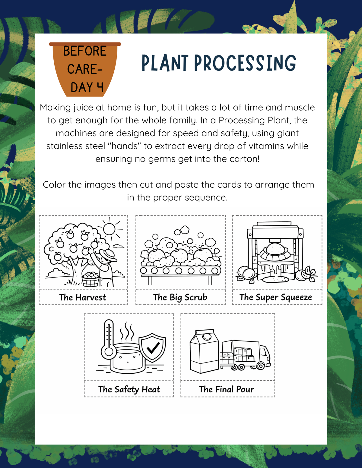 From Seed to Supper Curriculum Workbook | Learn & Grow Before & After Care Series