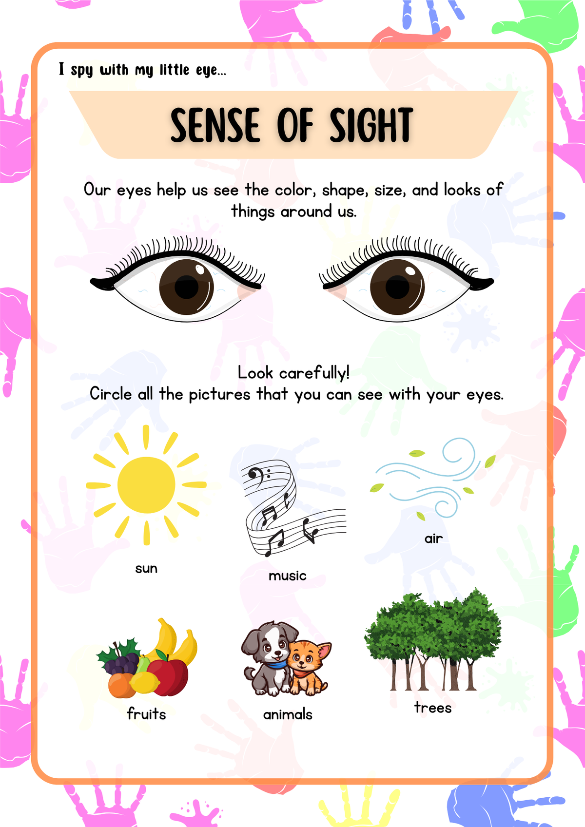 My Body & Five Senses Activity Pack (Ages 5-7) | Human Body & Sensory Science Worksheets
