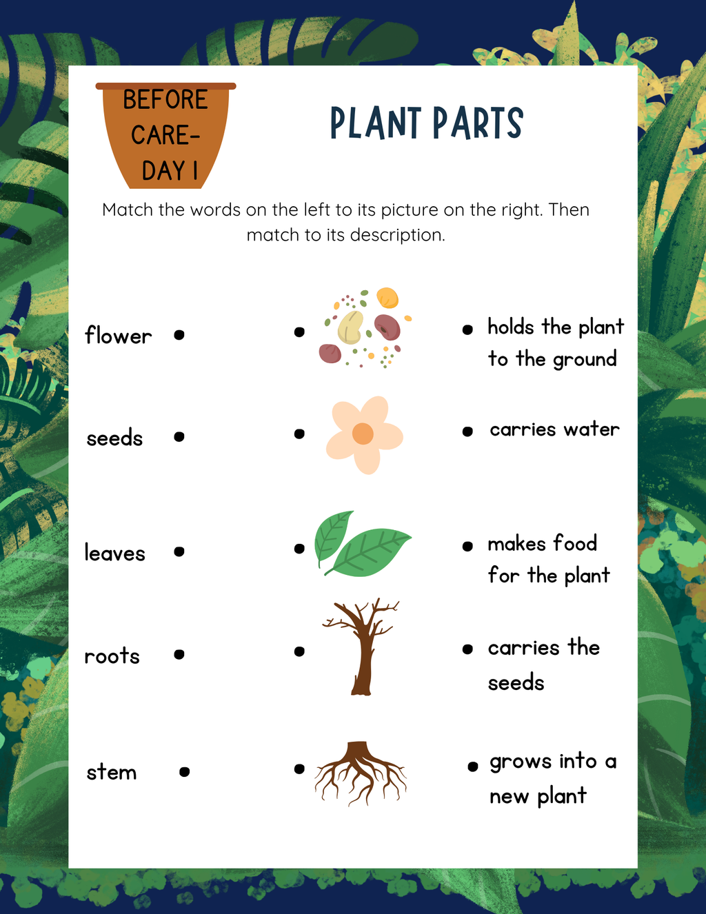 Our Amazing Earth Workbook | Learn & Grow Before & After Care Series