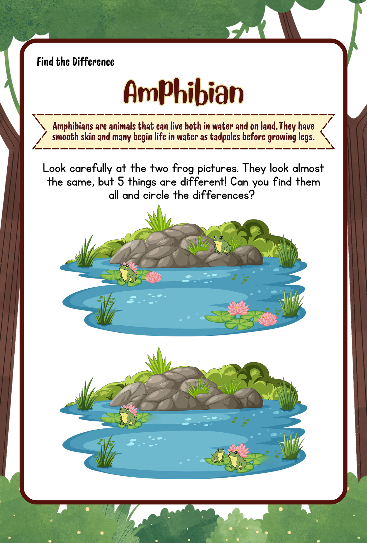 Animals Activity Pack (Ages 5-7)