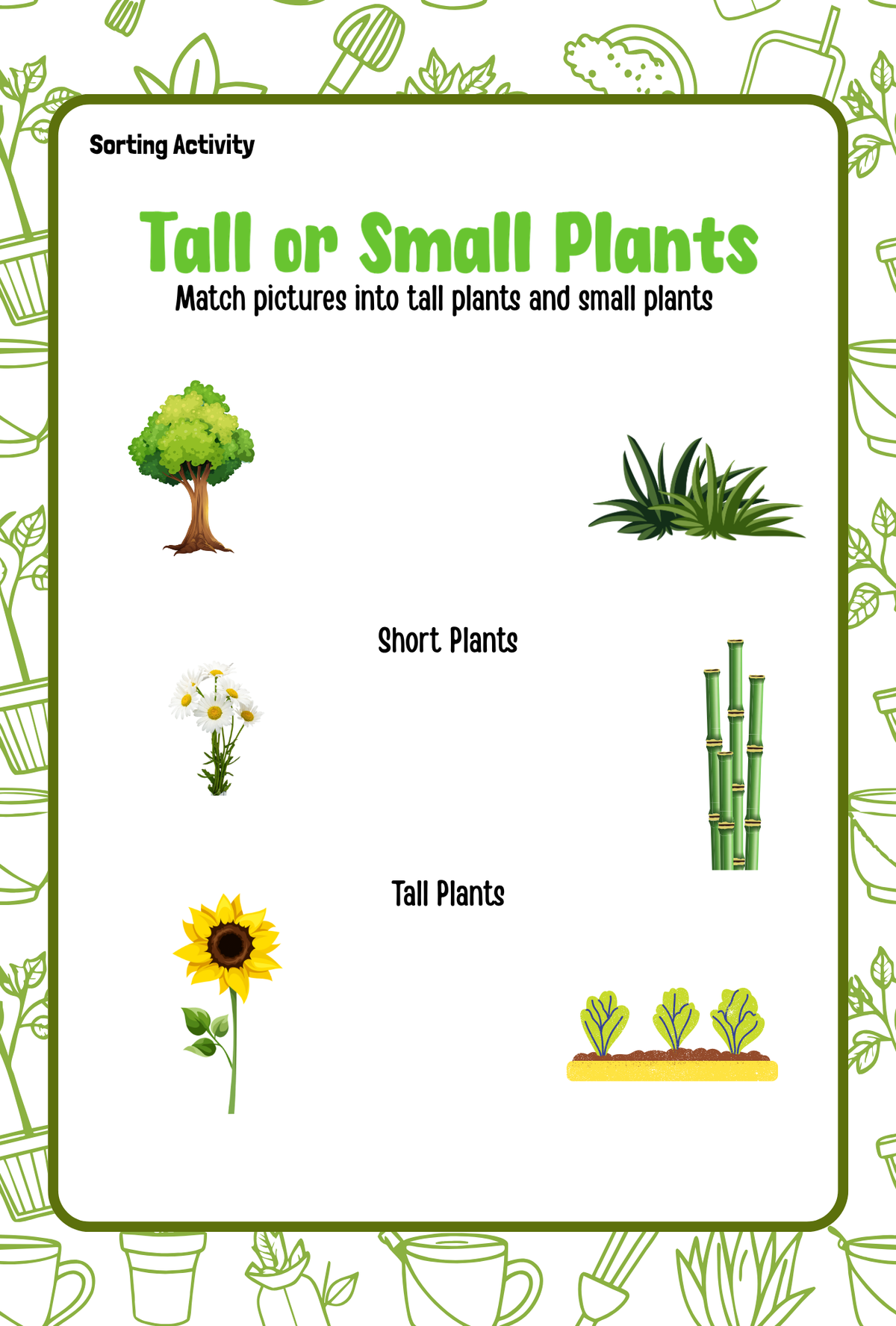 Plants Activity Pack (Ages 5-7) | Botany Worksheets