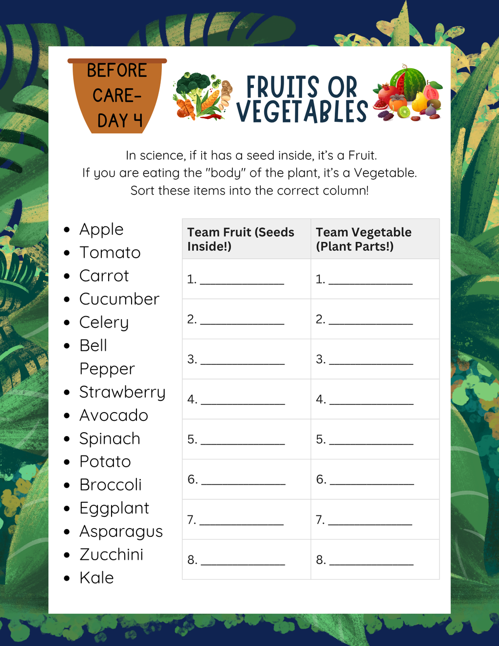 From Seed to Supper Curriculum Workbook | Learn & Grow Before & After Care Series