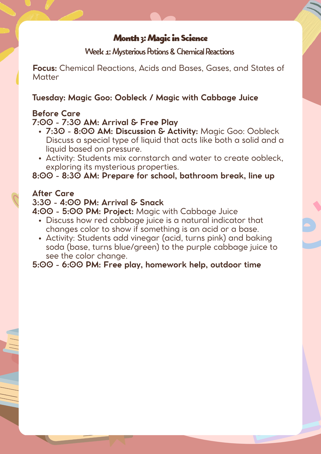 3rd–5th Grade: Lesson Plan: Magic in Science (Month 3) | Everyday Play N Learn Curriculum Series