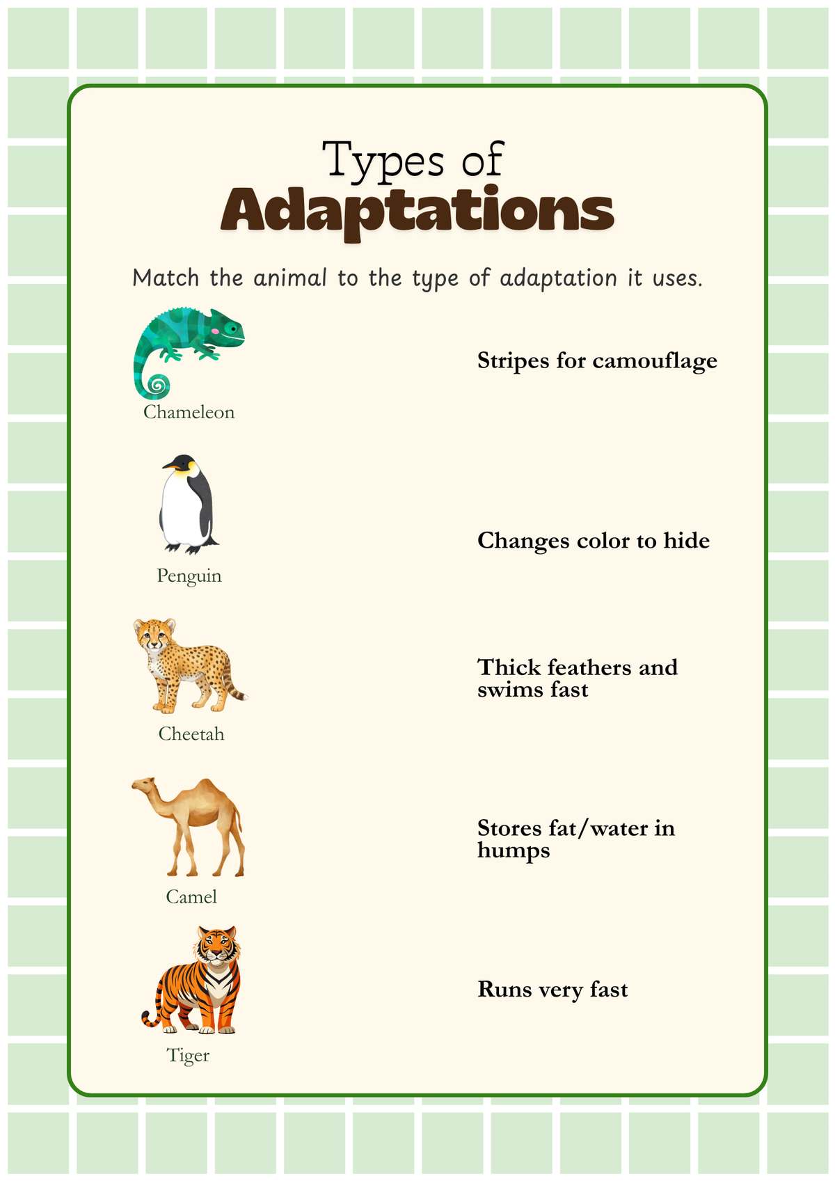 Wildlife Explorers Activity Workbook (Ages 5–8) | Animal Adaptations, Habitats & Conservation Learning Pack