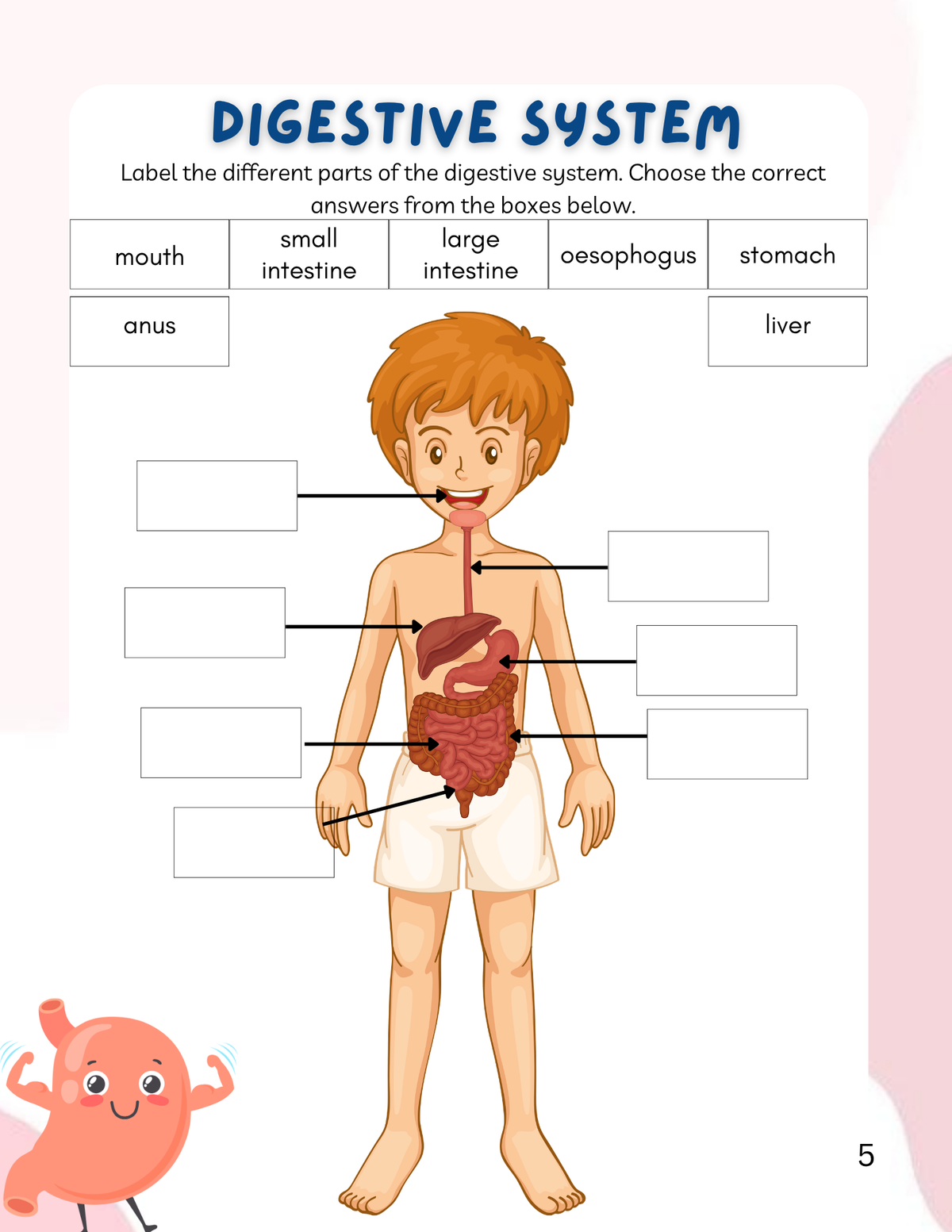 Body Blueprint: Health and Wellness Workbook (3rd–5th Grade) | Before & After Care Series Comprehensive Curriculum