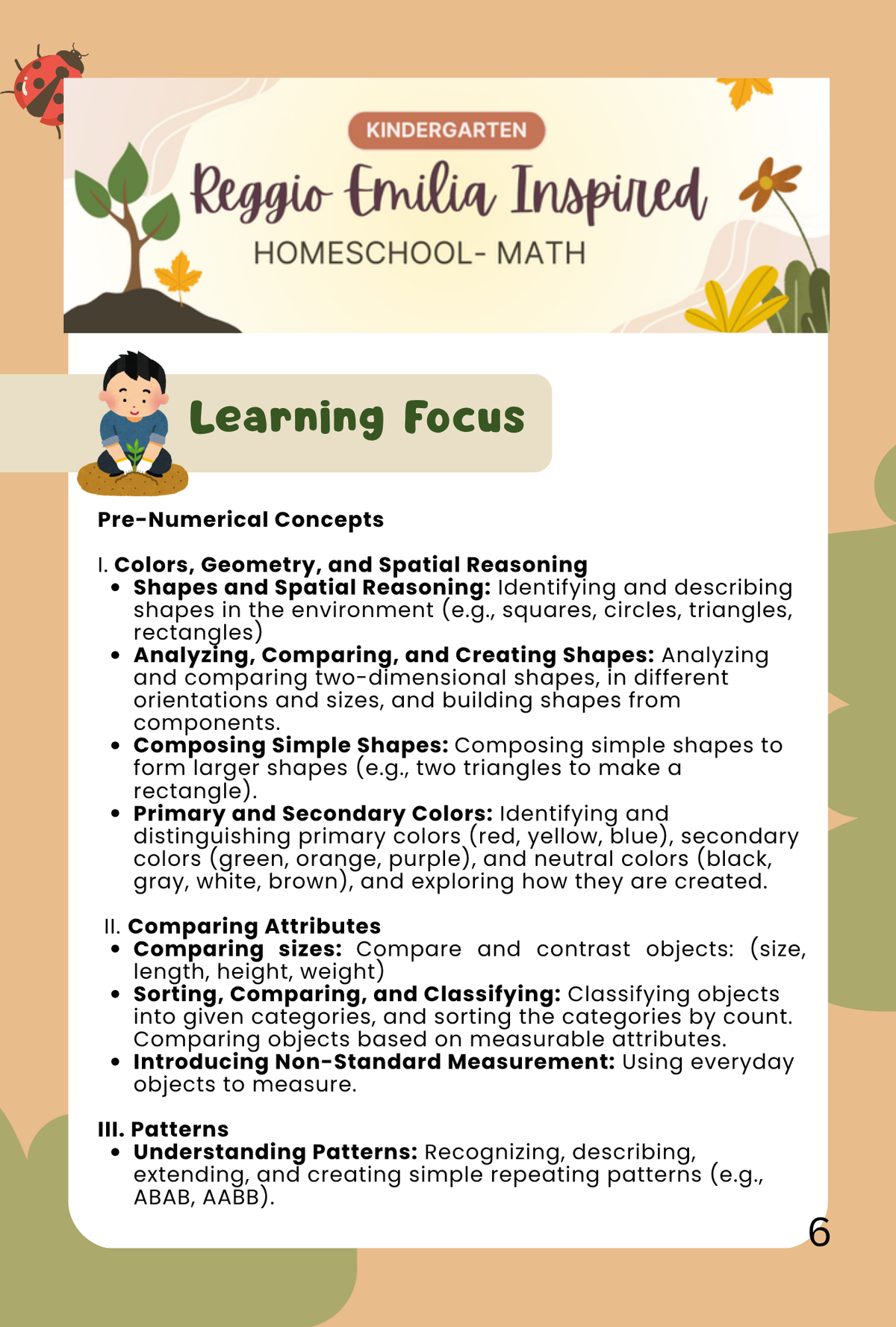 Reggio Emilia Kindergarten Math Curriculum & Assessment Guide | Homeschool Teacher Manual